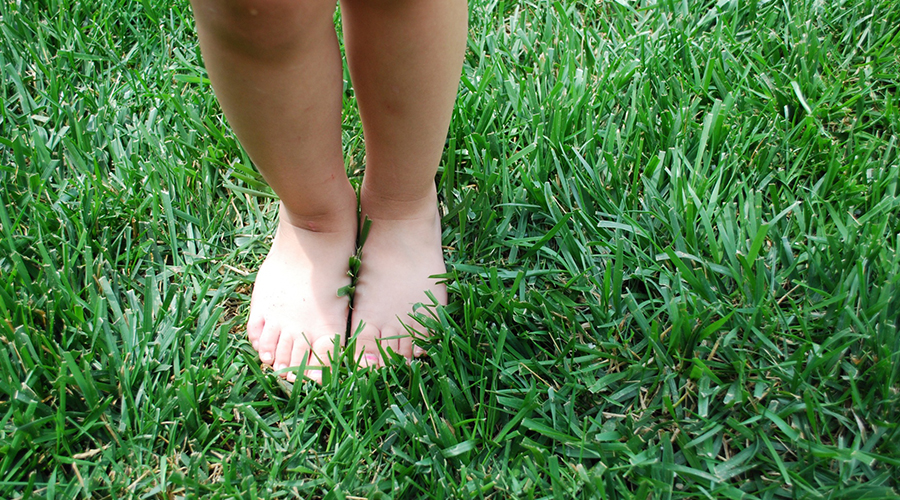 Pés descalços tocando a grama.